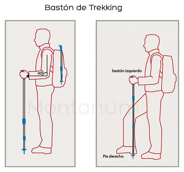 Bastón Trekking Tramo Mango Anti Shock-eshopviña