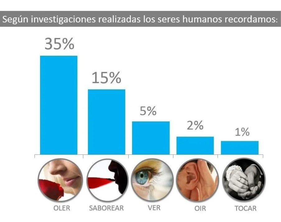 Pack 4 Lata Original Aromatizante Sani Air